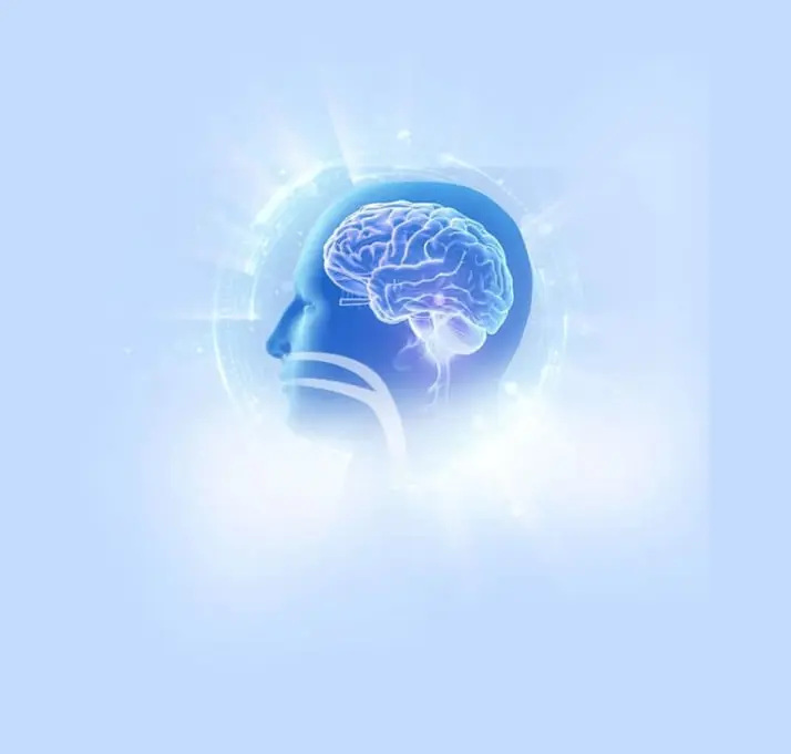 brain health
